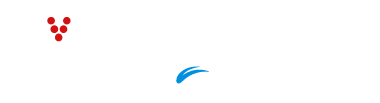 Escola Virtual
